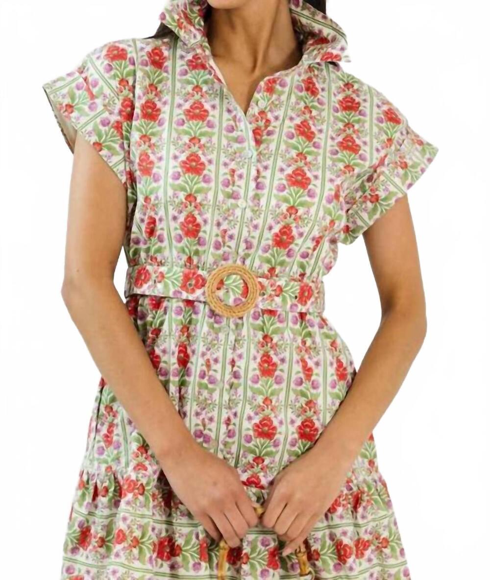 NEW ENTRO garden party botanical stripe flutter sleeve mini dress in red